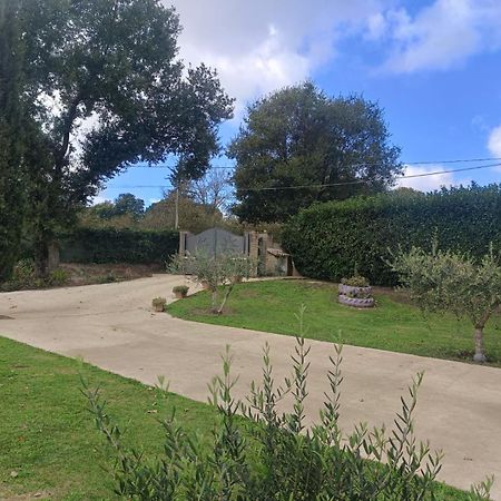 Tenuta Quadrone Cura di Vetralla 외부 사진