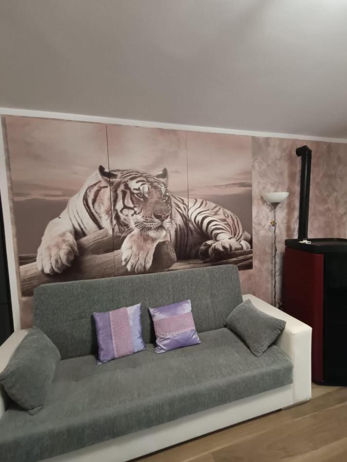Tenuta Quadrone Cura di Vetralla 외부 사진